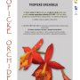 plakat-orchideje.jpg