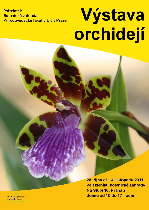 bz-uk.cz-sites-default-files-orchideje_web.jpg